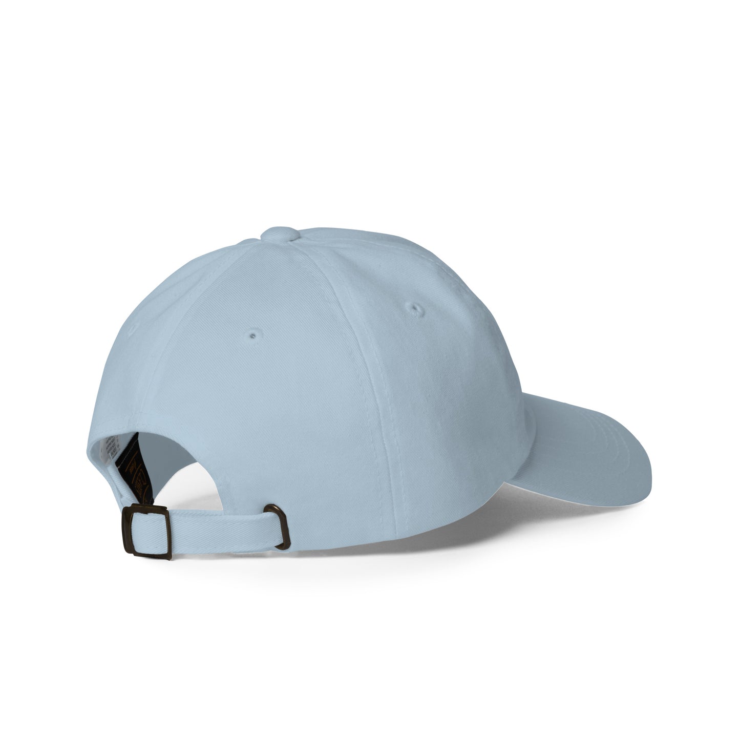 Houston Hat upside Down
