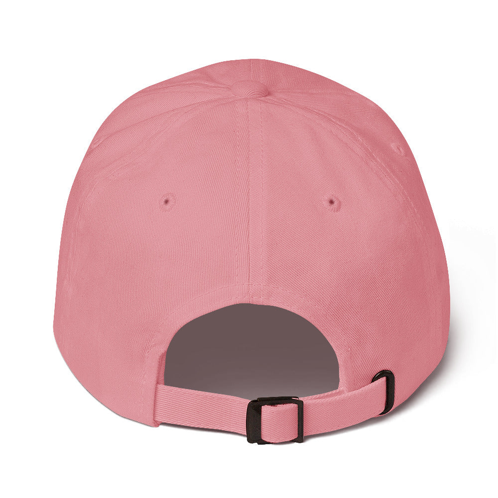 Houston Hat upside Down