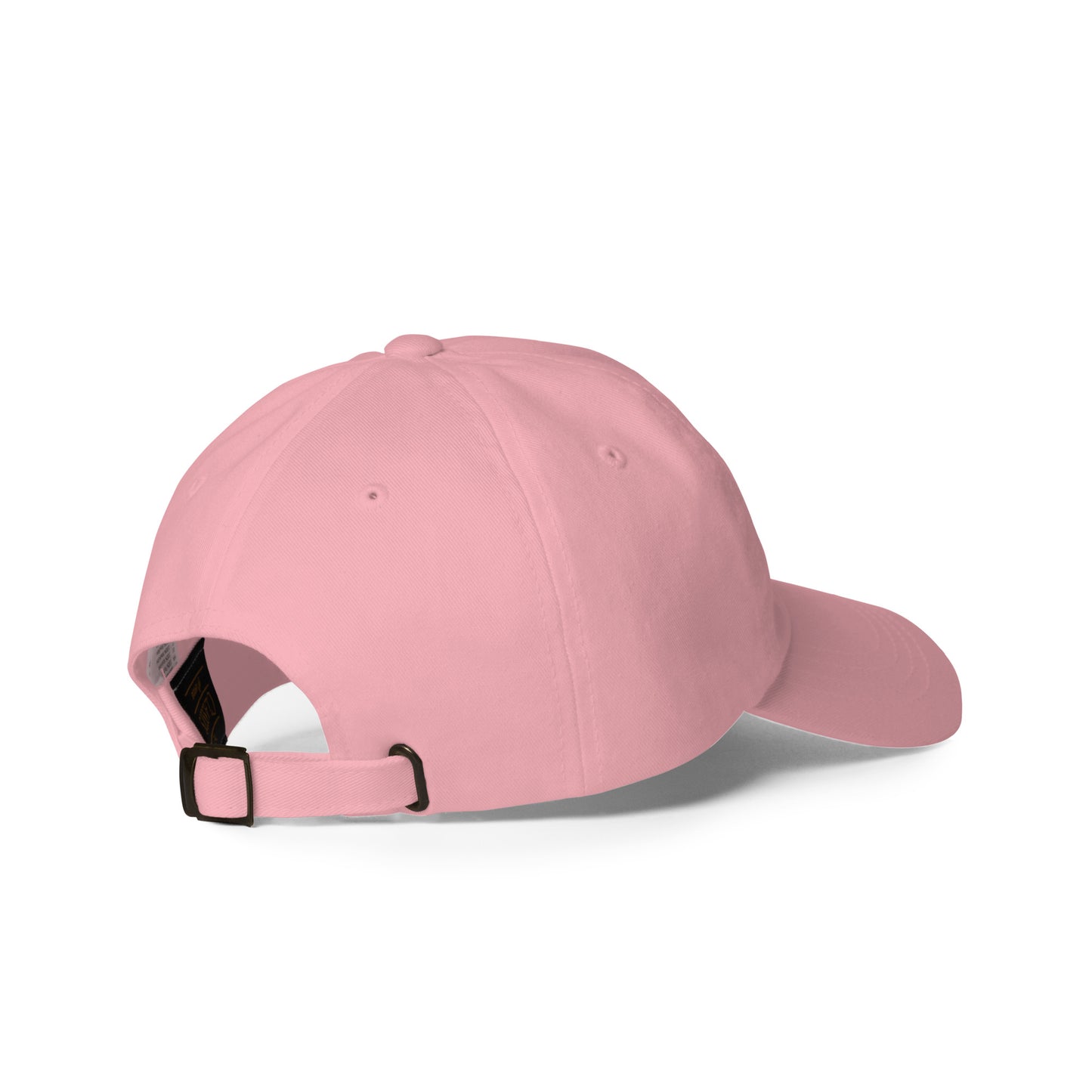 Houston Hat upside Down